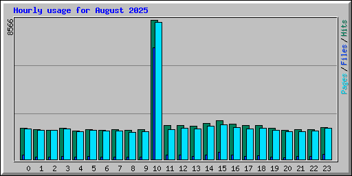 Hourly usage for August 2025