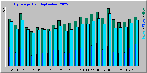 Hourly usage for September 2025
