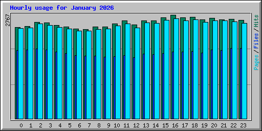 Hourly usage for January 2026