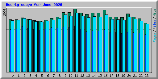 Hourly usage for June 2026