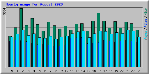 Hourly usage for August 2026